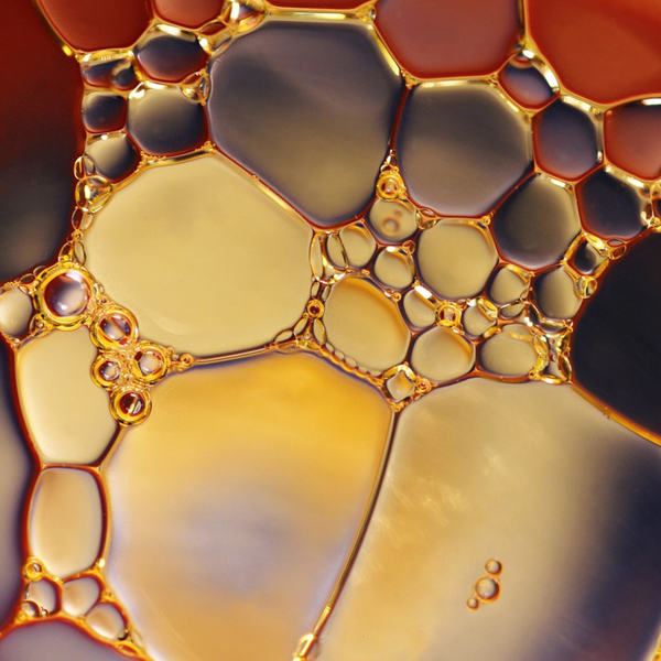 Huiles de jojoba, abricot, tournesol et ricin