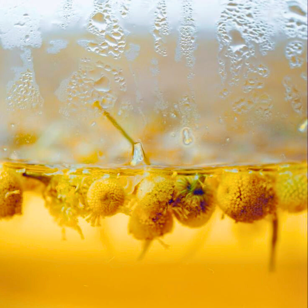 Hydrolat de camomille romaine