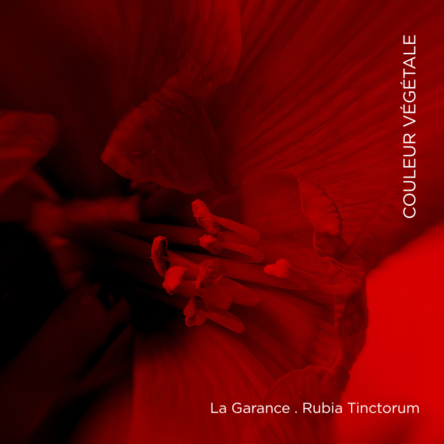 011. Rouge Alizarine