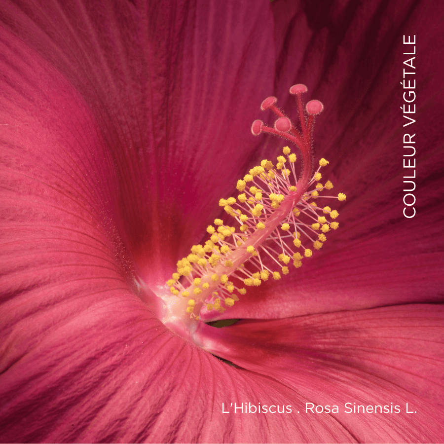 013. Rouge Maunaloa