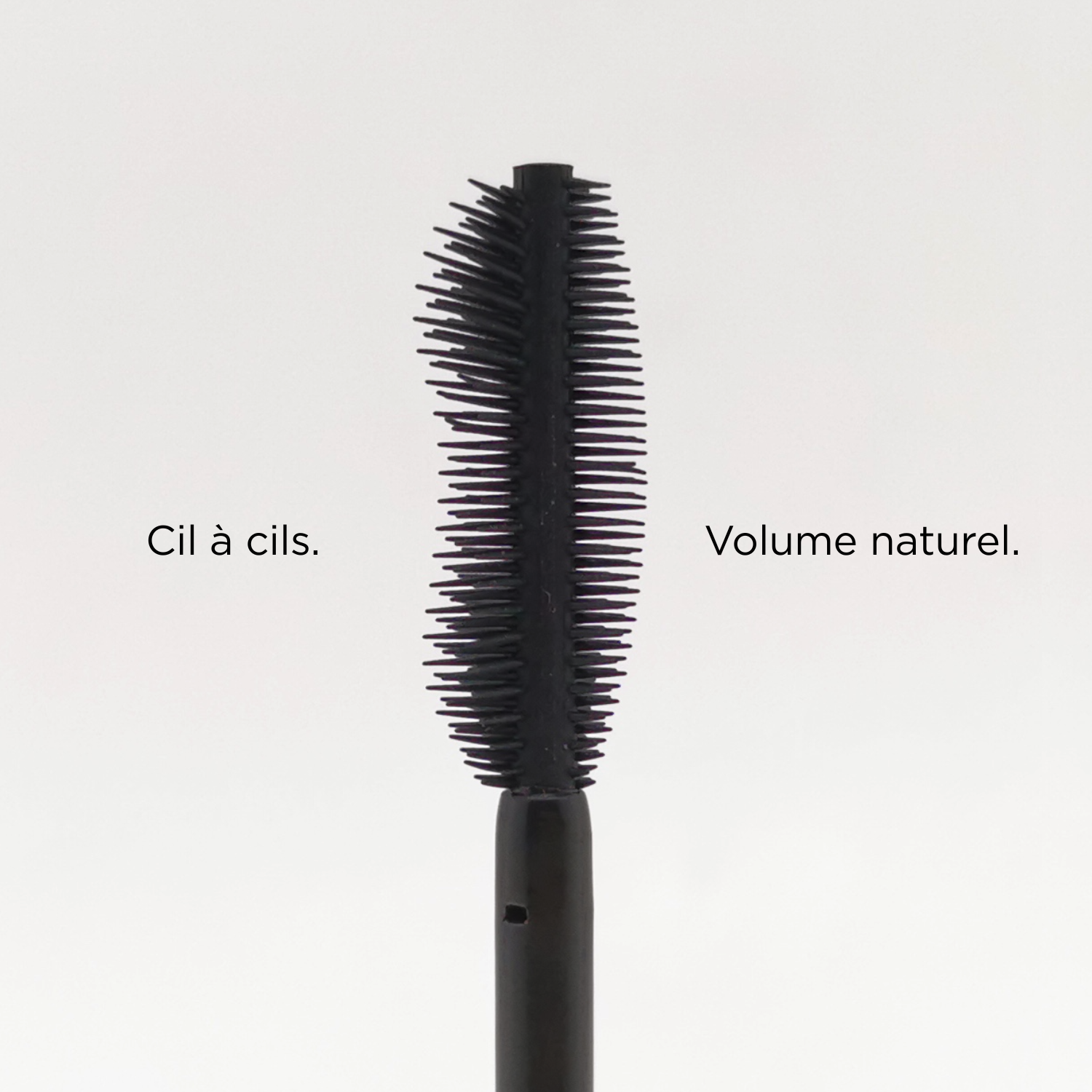 410. Noir Cassiopée