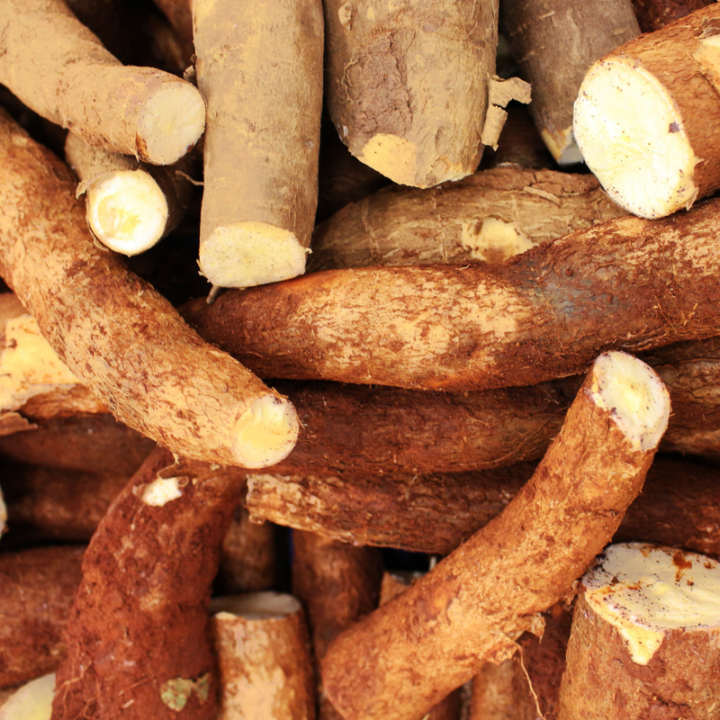 Amidon de tapioca