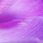 curcuma turmeric vegetal colouring make up and cosmetics